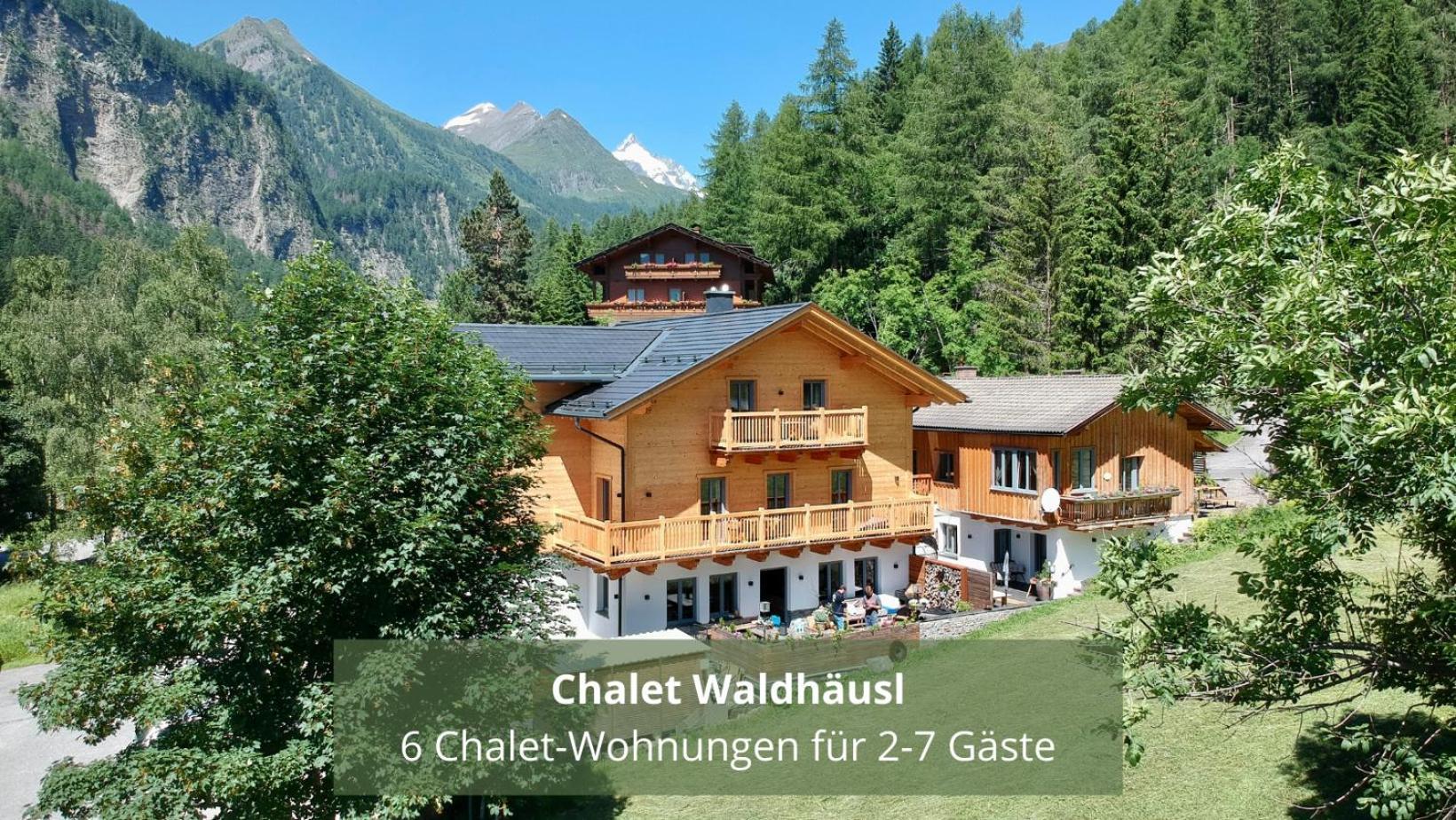 Chalet Waldhaeusl Luxurioese Ferienwohnungen Mit Sauna & Whirlpool, Kamin, Balkon Oder Terrasse Mit Bergblick Heiligenblut Buitenkant foto