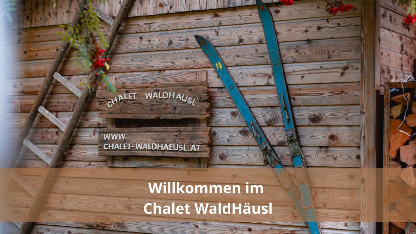 Chalet Waldhaeusl Luxurioese Ferienwohnungen Mit Sauna & Whirlpool, Kamin, Balkon Oder Terrasse Mit Bergblick Heiligenblut Buitenkant foto